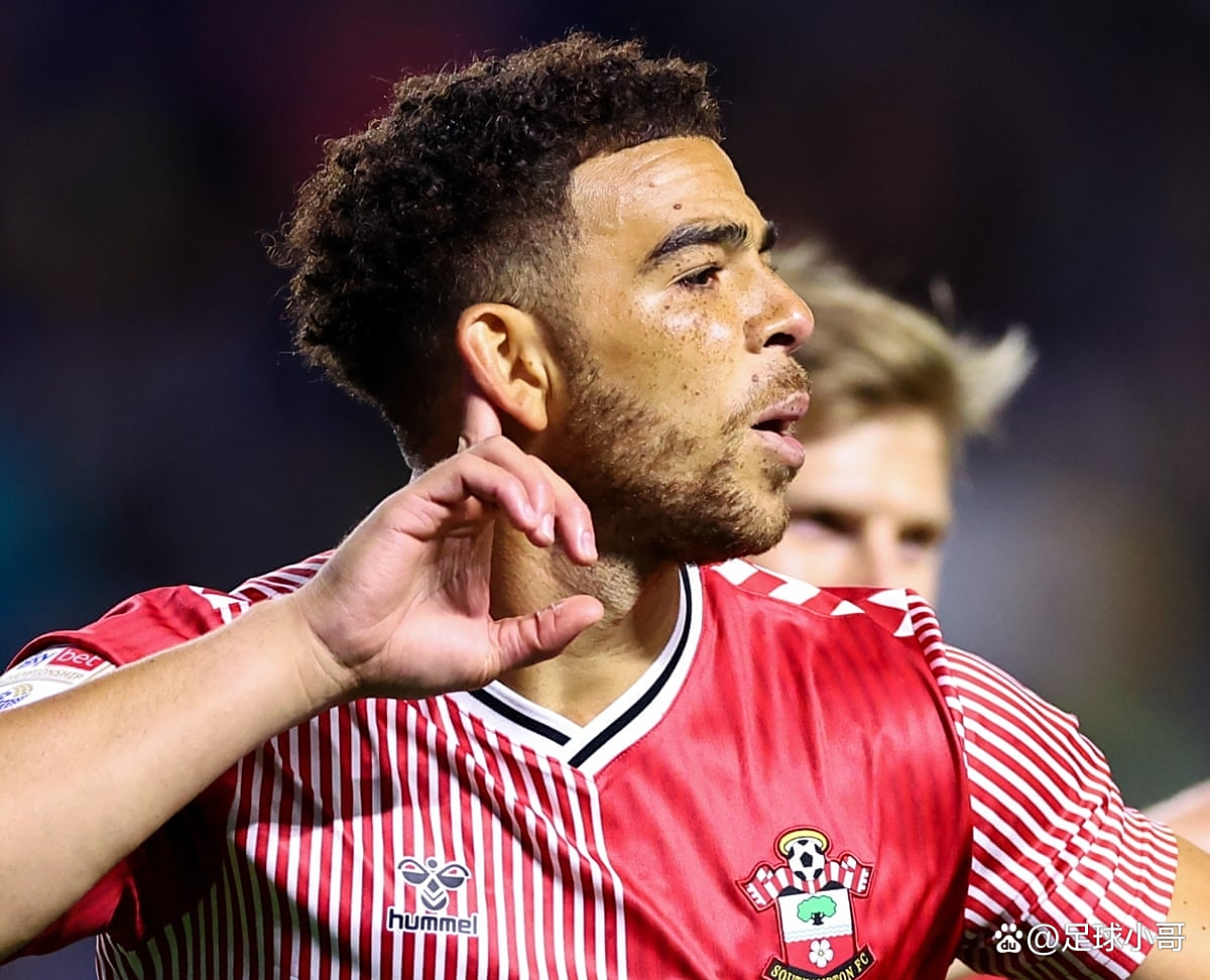 南安普顿中场表现抢眼,成为球队关键人物的简单介绍 南安普顿中场表现抢眼,成为球队关键人物的简单介绍